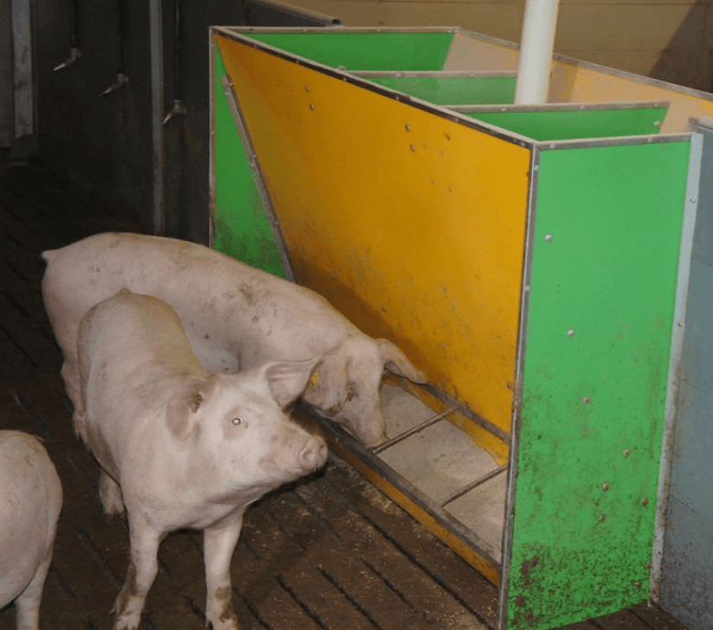 Кормушки бункерные для свиней цена